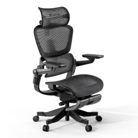 Ergonomic Chair